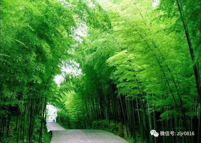 翡翠長廊 翡翠長廊
