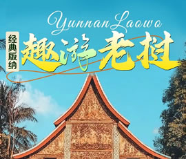 【趣游老撾 · 經(jīng)典版納】—昆明、普洱、西雙版納、磨丁、瑯勃拉邦四動8日游